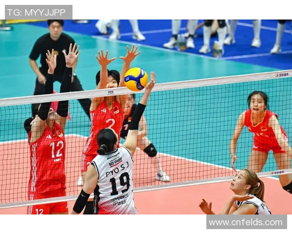 上海排球队精英赛精彩配合分析与表现评估