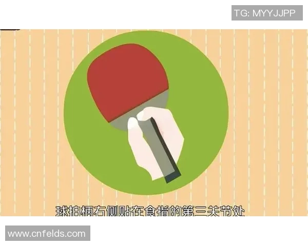 乒乓球新手必看：从意识到技巧的全面入门指南