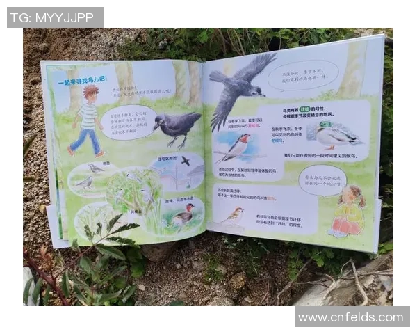 南京羽毛球队心理素质排名第四的背后故事与训练秘诀揭秘