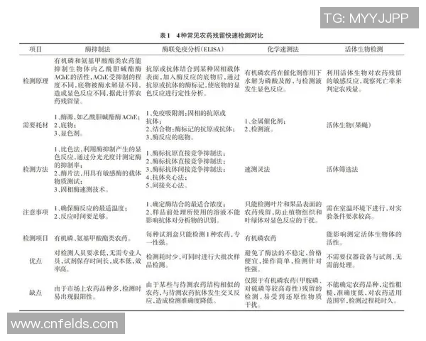 巴林足球明星的崛起与成就探讨及其对国家足球发展的影响
