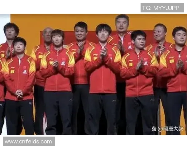 深圳乒乓球队荣登全国比赛经验排行榜第五位展现实力与潜力