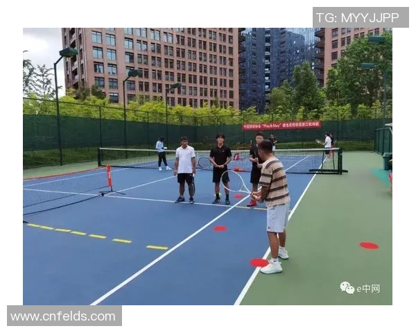 北京网球队运营体系探讨与战术分析的综合研究