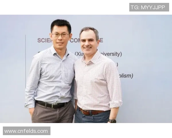 武汉篮球队在联合会杯中的拼搏历程与荣耀时刻全景回顾